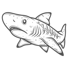Sand Tiger Shark Line Art Illustration