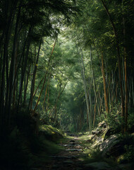 Obraz premium Sun Dappled Path Through Lush Green Bamboo Forest