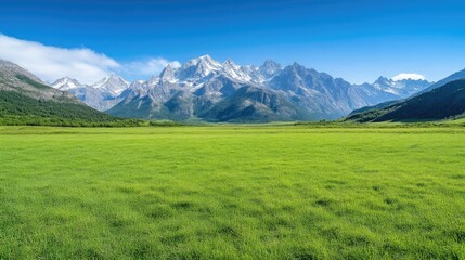 Vast Grassland Majestic Mountains Panoramic Landscape High-resolution Vivid Lighting Wide Angle Shot Lush Green Grasses Serene Vista Breathtaking Scenery Bright Sunny Day Ideal for Travel Brochures