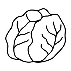 Hand Drawn Cabbage Doodle