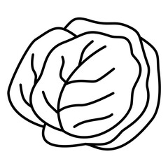 Hand Drawn Cabbage Doodle