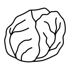 Hand Drawn Cabbage Doodle