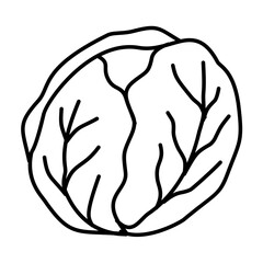Hand Drawn Cabbage Doodle