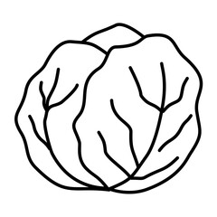 Hand Drawn Cabbage Doodle