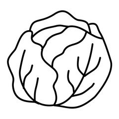 Hand Drawn Cabbage Doodle