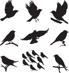 Fototapeta premium A collection of black bird silhouettes in various flying and perched positions, displayed on a white background