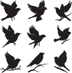 Obraz premium A collection of black bird silhouettes in various flying and perched positions, displayed on a white background