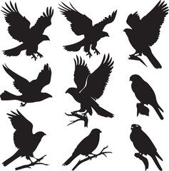 Obraz premium A collection of black bird silhouettes in various flying and perched positions, displayed on a white background