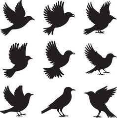 A collection of black bird silhouettes in various flying and perched positions, displayed on a white background