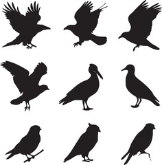 Obraz premium A collection of black bird silhouettes in various flying and perched positions, displayed on a white background