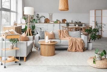 Interior of stylish studio apartment with living room and kitchen