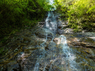 西丹沢 地獄棚の滝と新緑の風景