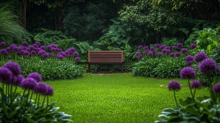 Naklejka premium Serene Garden Scene Wooden Bench Purple Allium Flowers Lush Green Grass Tranquil Peaceful Backyard Summer Nature Beauty Relaxing Landscape Design Idyllic Outdoor Space Perfect 