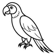 Macaw vector line art on white background