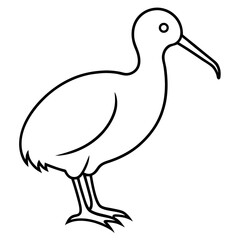 Kiwi bird vector line art on white background