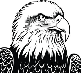 Black and white bold vector of a detailed eagle head, isolated on white background.