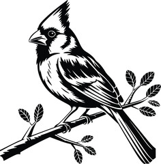 Black and white bold vector of a cardinal on branch, isolated on white background.
