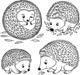 Bold black and white hand-drawn illustrations of 4 cute hedgehogs doodling rolling into balls, scurrying through leaves, resting under bushes, and sniffing around, isolated on white.