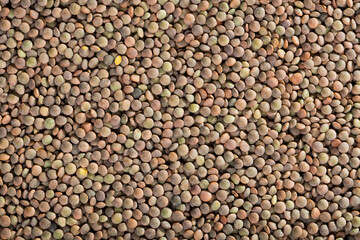Natural background of dried lentil seeds. Concept of healthy and nutritious food