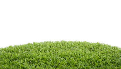 Circular patch of grass isolated on white,eco, growth, lawn, round, turf, vibrant, ecology, patch, element, isolated, circle, concept, design, field, grass, green, leaf, nature, symbol, 