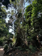 Nature’s Beauty Unleashed: Breathtaking Images to Elevate Your Space