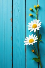 Fototapeta premium White daisy and yellow flower composition on blue painted wood planks, yellow, botanical, image