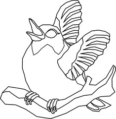 Bird Illustration
