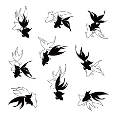 Illustration of a gracefully swimming Japanese goldfish,