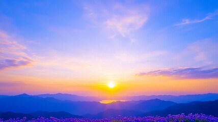 Fototapeta premium Colorful Sunset Over a Field of Flowers and Distant Hills