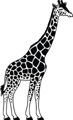 Naklejka premium Black and white bold vector of a giraffe, isolated on white background.