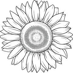 Black and white bold vector of a sunflower, isolated on white background.