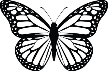 Black and white bold vector of a flying butterfly, isolated on white background.