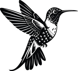 Black and white bold vector of a vibrant hummingbird, isolated on white background.