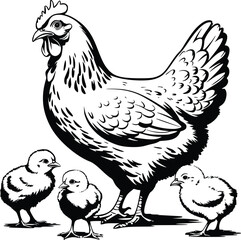 Black and white bold vector of a hen with chicks, isolated on white background.