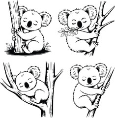 Bold black and white hand-drawn illustrations of 4 koalas doodling hugging eucalyptus trees, eating leaves, sleeping in trees, and climbing branches, isolated on white.