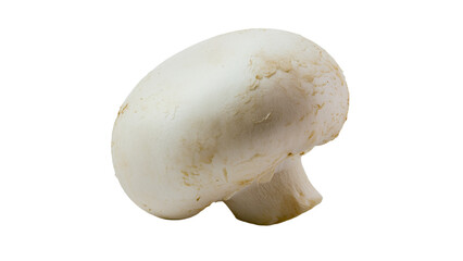Close up of a Single Fresh White Mushroom Ideal for Culinary and Food Websites Recipe Blogs and Gourmet Cookbooks