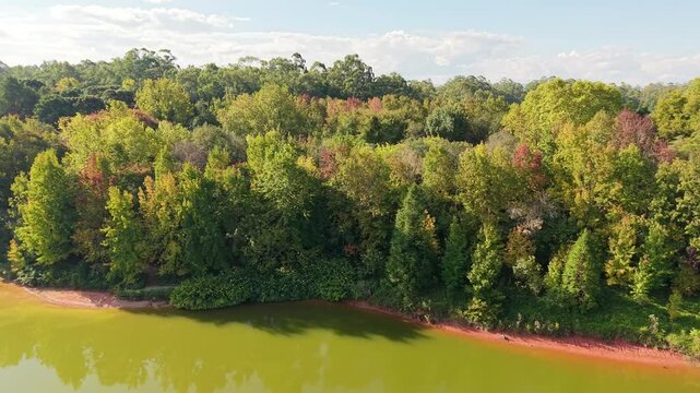 lake in the park