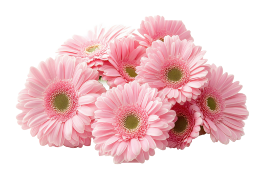 This image features a cluster of vibrant pink flowers, isolated with a dark background.