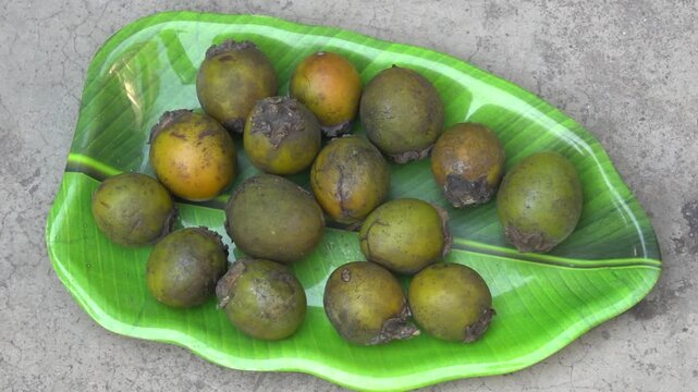 The Tendu fruit, scientifically known as Diospyros melanoxylon, is a seasonal fruit .It's a small, round, edible fruit with a sweet taste when ripe. also use the leaves to make bidis