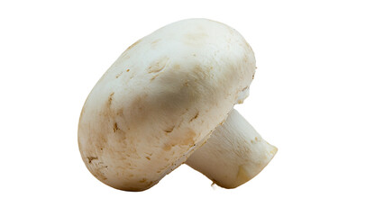 Close up of a Fresh White Button Mushroom Ideal for Culinary and Food Photography