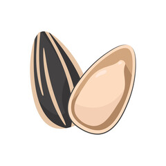Vector Sunflower Seeds, a healthy high energy food grain