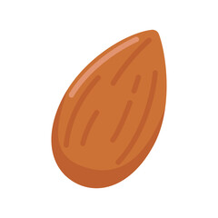 Vector Almond Almond seeds are a high-energy food for health-conscious people.