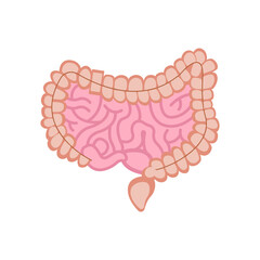 Intestines Vector Illustration