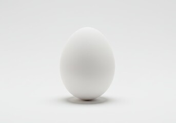 A single white egg is centered on a white surface with a bright neutral background in a studio setting
