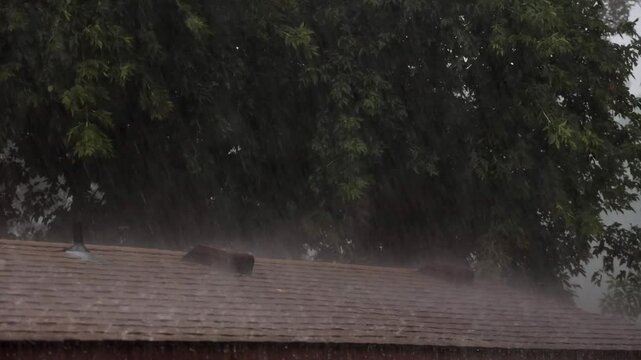 rain storm wind and hail on shingles roof