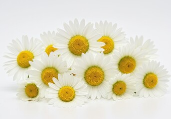 Obraz premium A cluster of white daisies with yellow centers arranged on a plain white surface in a close up view