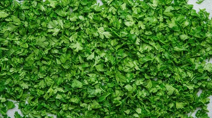 A under 200 characters: Chopped fresh parsley leaves spread out in a vibrant, green layer, perfect for garnishing or seasoning dishes.
