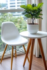 Serene indoor scene featuring a vibrant fiddle leaf fig plant on a white side table near a modern chair and window offering a tranquil urban view
