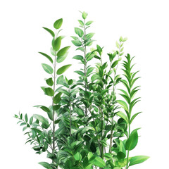 Obraz premium Close-up of a dense cluster of greenery with a colorful, distorted background.