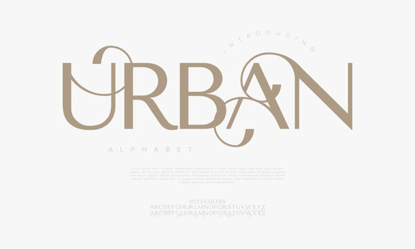 Stylish modern serif font featuring elegant swashes, ideal for boutique branding, editorial layouts, logos, and packaging design